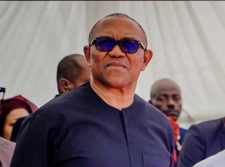 2027: Obidient Movement Alleges Plot to Block Peter Obi via ADC Crisis