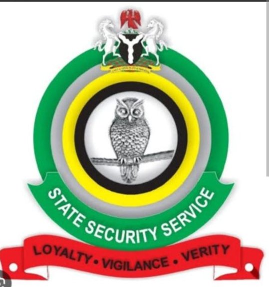 DSS Clarifies Okey Ndibe Airport Encounter, Denies Arrest Allegation