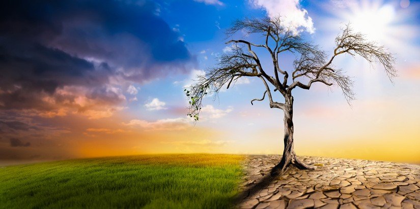 Climate Change Poses Serious Threat to Food Security and National Security — FG