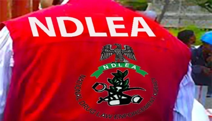 NDLEA Takes Custody of 6,778.5kg of Canadian Loud Seized at Lagos Apapa Port